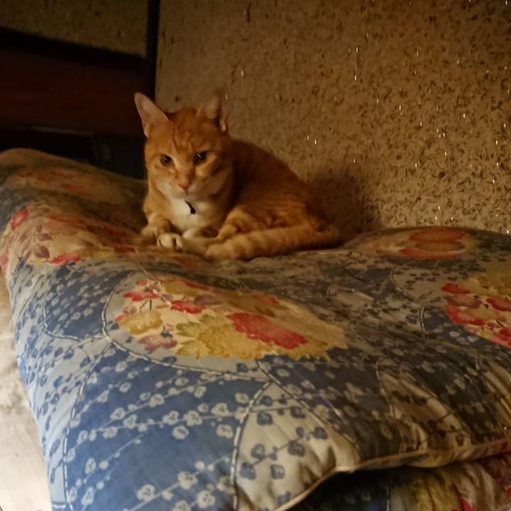 Da90f846 1b24 44cd b83d 88e84877c01c 1601293053818