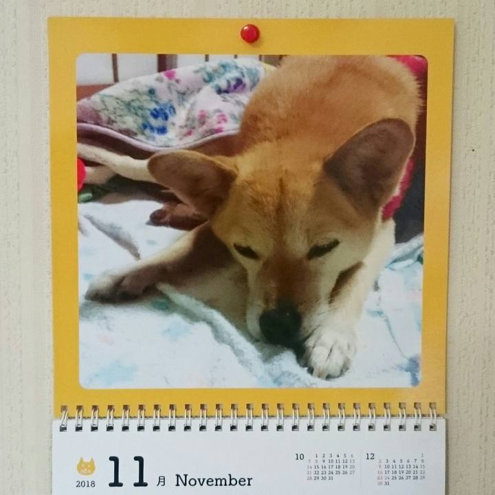 Da911dd2 e5fb 4c96 851c 25e2b3f3c91b 1541111331294