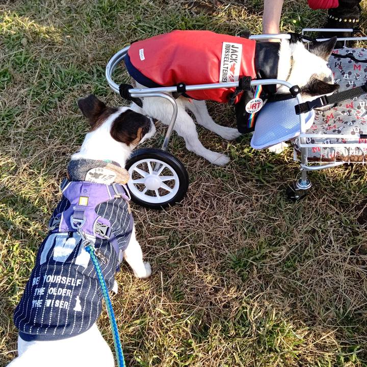 Da916592 20f1 4101 9b48 a973915a71c0 1641733228226