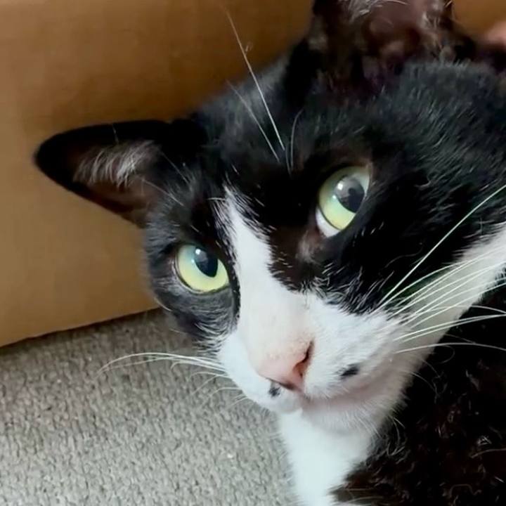 Da919885 648a 4256 bd51 84ae5d7016db 1755226919017