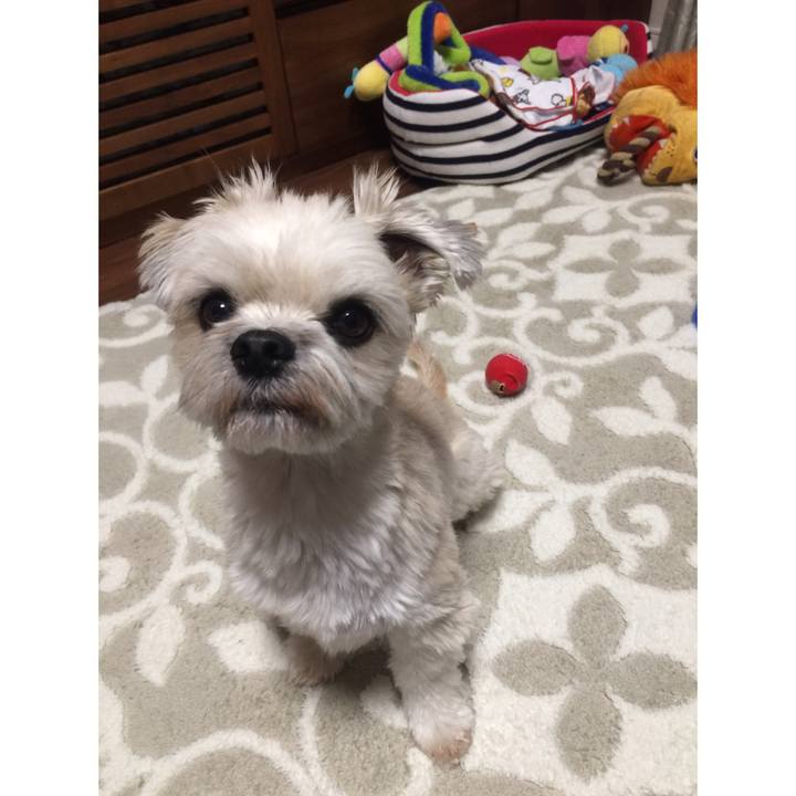 Da91b8a9 09af 42c7 b4fc da1bef562a53 1543407356903