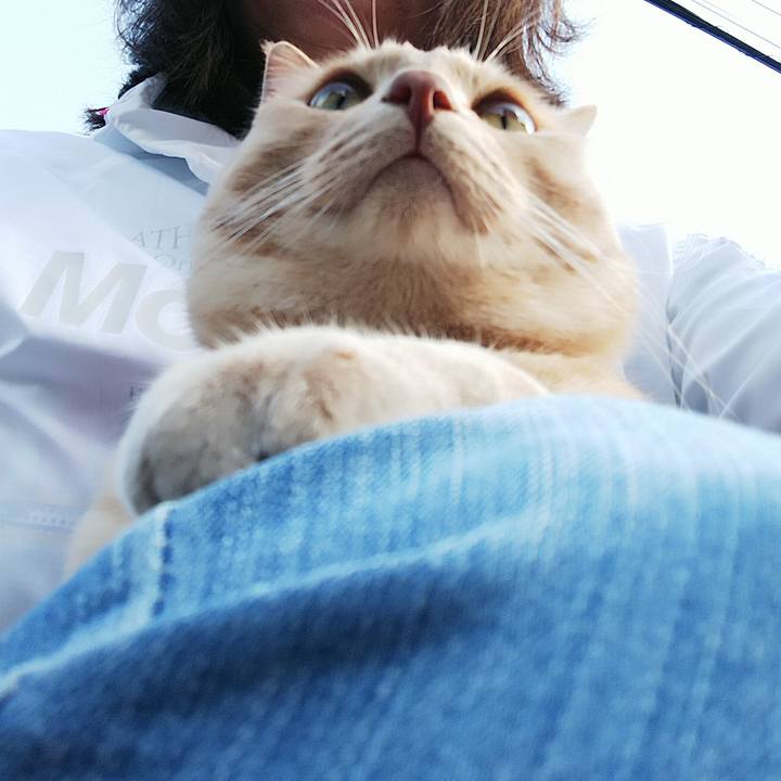 Da91f5a8 b0e8 429b 8801 2831c543ffcb 1594244535656