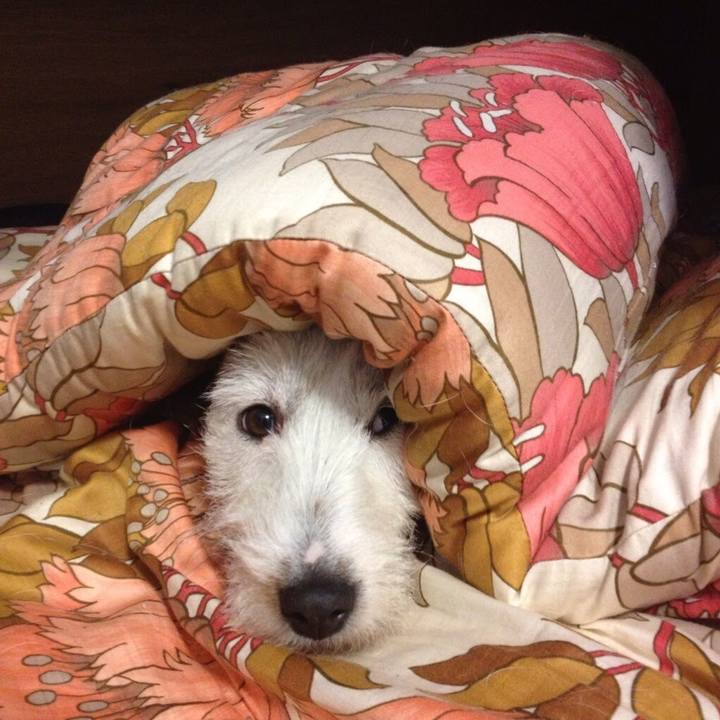 Da921019 3738 4f5b 92c6 453a38041478 1577970562400