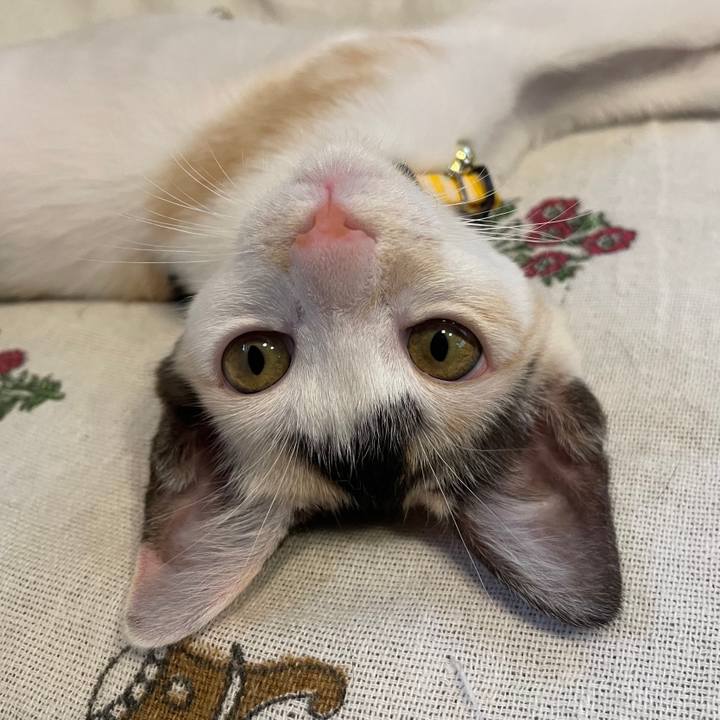 Da921071 1ae4 492b bd5c 4207dd44ff41 1659865506929