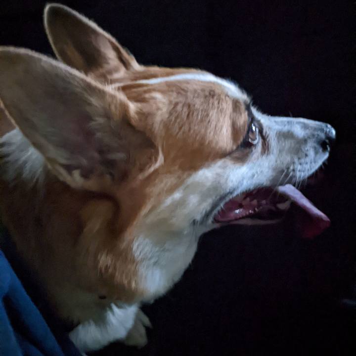 Da924f8f cc2f 4aae b74a 7ac921352efa 1689671627683