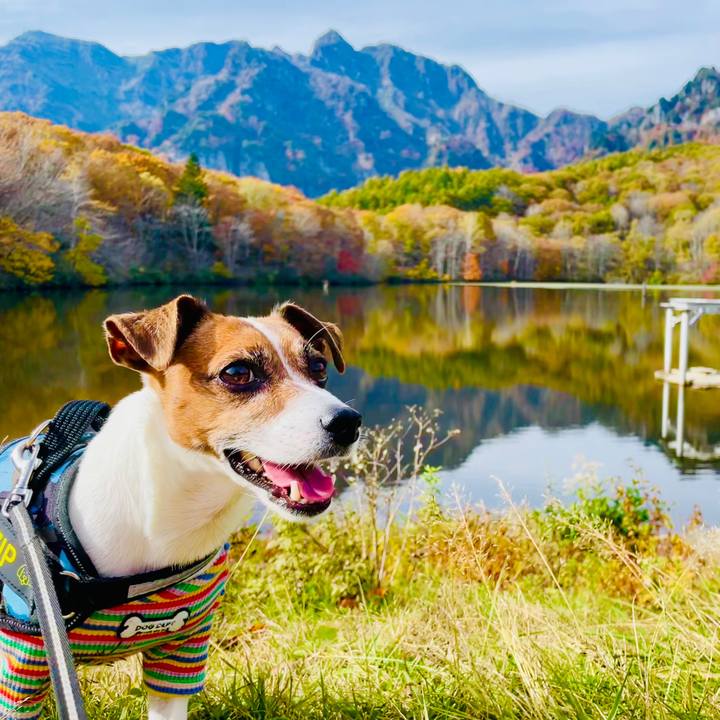 Da925bf8 32be 401c 88fd 658aea342139 1740641553800