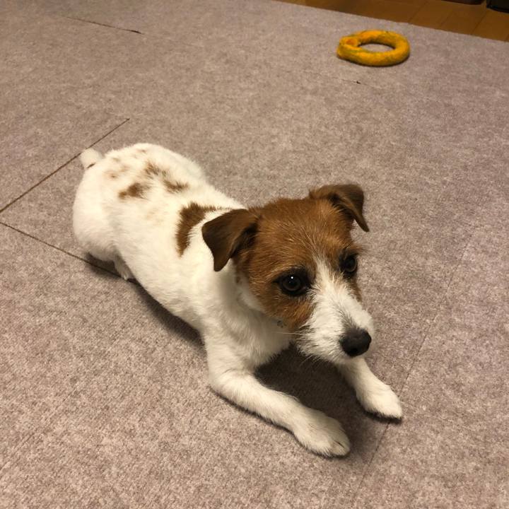 Da927d47 0011 46fc ba99 c590f3ae9396 1563018784681