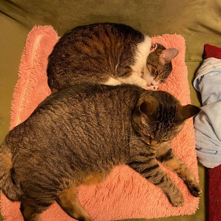 Da928318 5a1e 4396 b9bc 38431aee8d3d 1616171861016