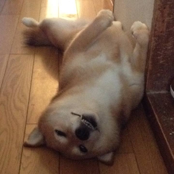 Da928402 c531 4d43 85ec deeb61f2ab5d 1532307457007