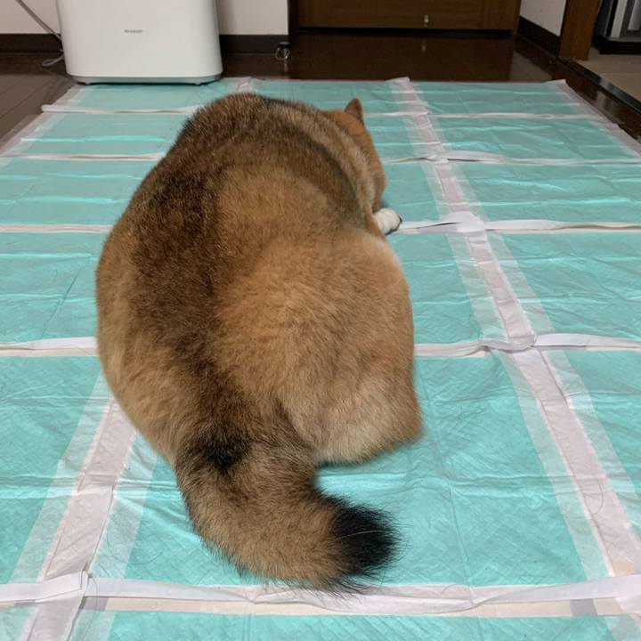 Da92ef60 11ab 4ef1 958b d653c288f75f 1576230441092