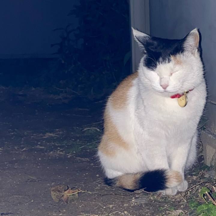 Da92f8cb 8ae3 449e aeb7 9c400995943a 1638180872485