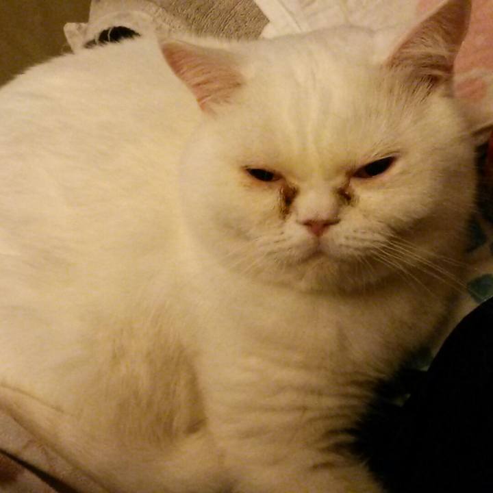 Da92fe93 b9df 4096 b97e 84cce47b3dc6 1546331180522