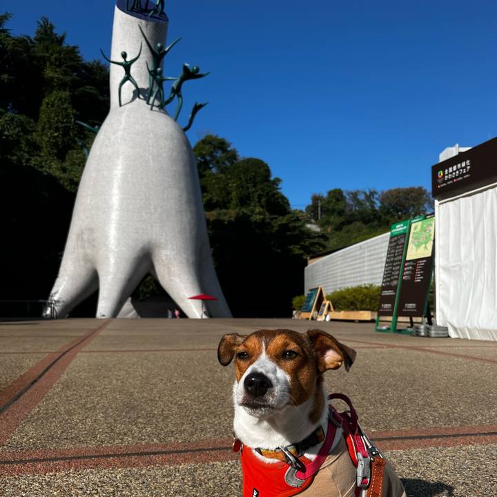 Da930fd0 6465 47b7 aa9d 0359535eda94 1730631503288