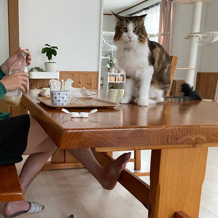 Da934ab2 4c1e 4900 8d61 05159ed2feda 1661636235224