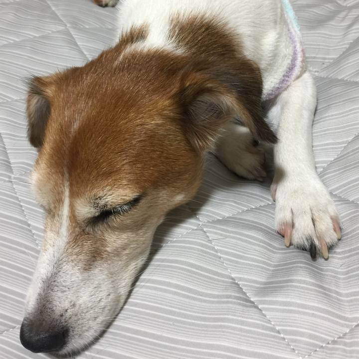 Da934af5 124b 4017 8814 cf4080360bde 1534246856518