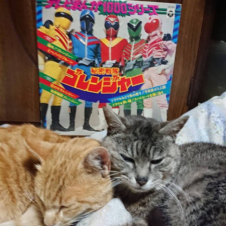 Da9353da 198e 4e31 a06d ca1807966dcc 1588680148200