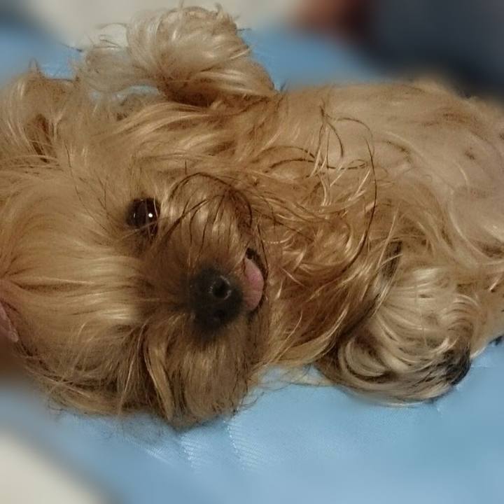 Da936644 47f5 4a1b 90c8 6509e8c7b70a 1687581853869