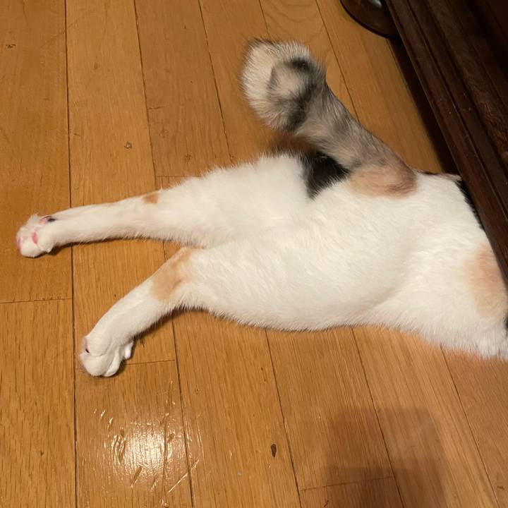 Da93837a 6f81 4dab bfa5 eec2d34c43bf 1692017677845