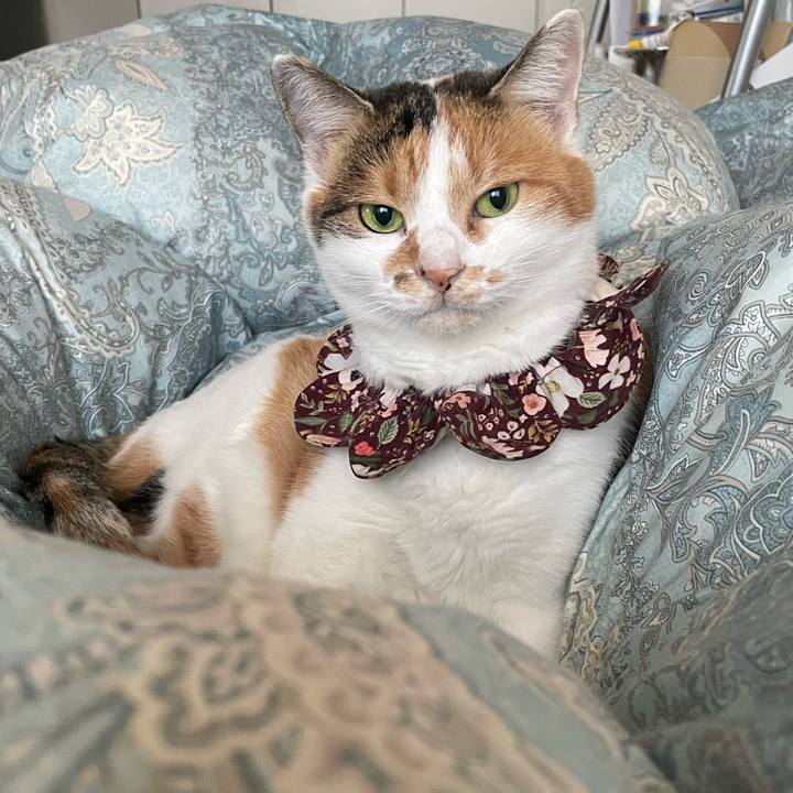 Da938e00 1653 4e48 860a 591da8e1585e 1763076695209