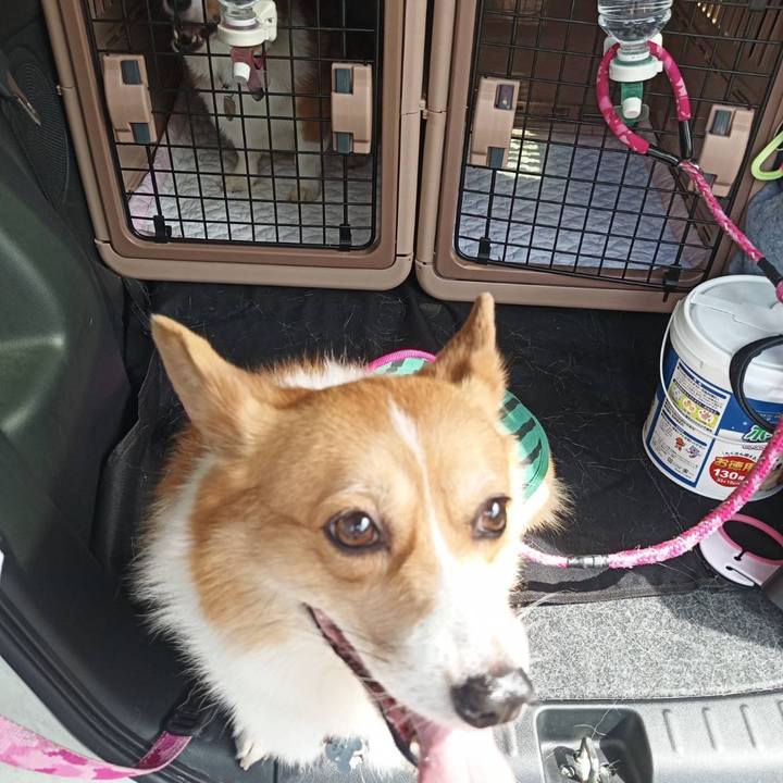 Da9393df ee61 4a54 9e1b 0075191dc482 1600751197422