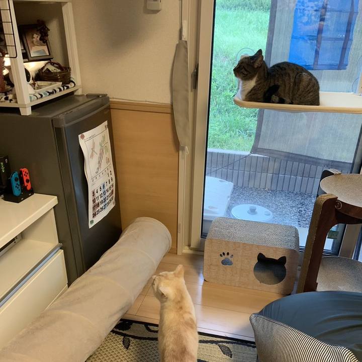 Da93f61c 939b 4f78 8efd 17f714ddd487 1695422336146