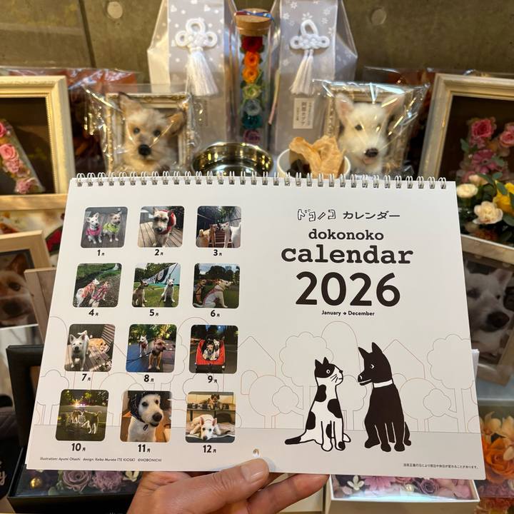 Da94325e a3e2 497d b0cf 8ea04054f2c4 1764920475554