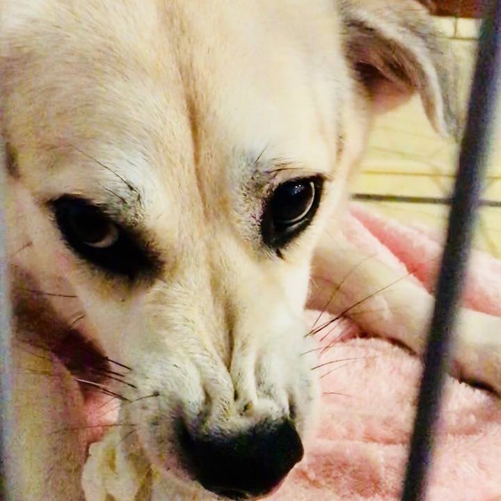 Da94520a f06c 4f2e 9157 eab0f2548188 1513422869363