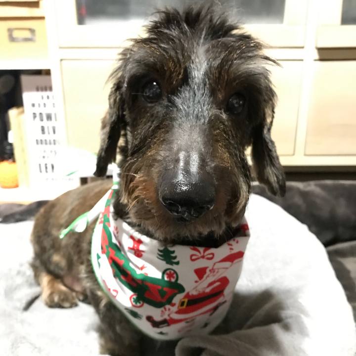 Da94630b 9302 405b a13f 501afe3881be 1545571934147