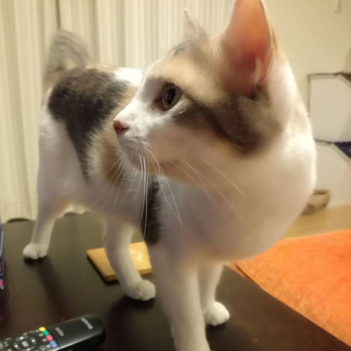 Da947f1b 5974 4016 80e5 162c4c3b94ad 1526280663780