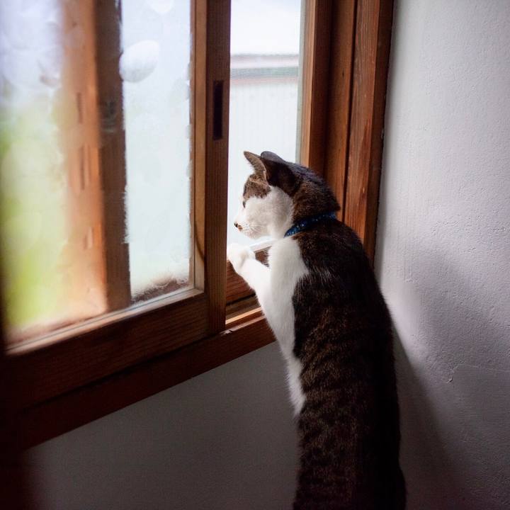 Da948ab2 f1fb 4a2a 88e0 23083572c8c0 1573701465775