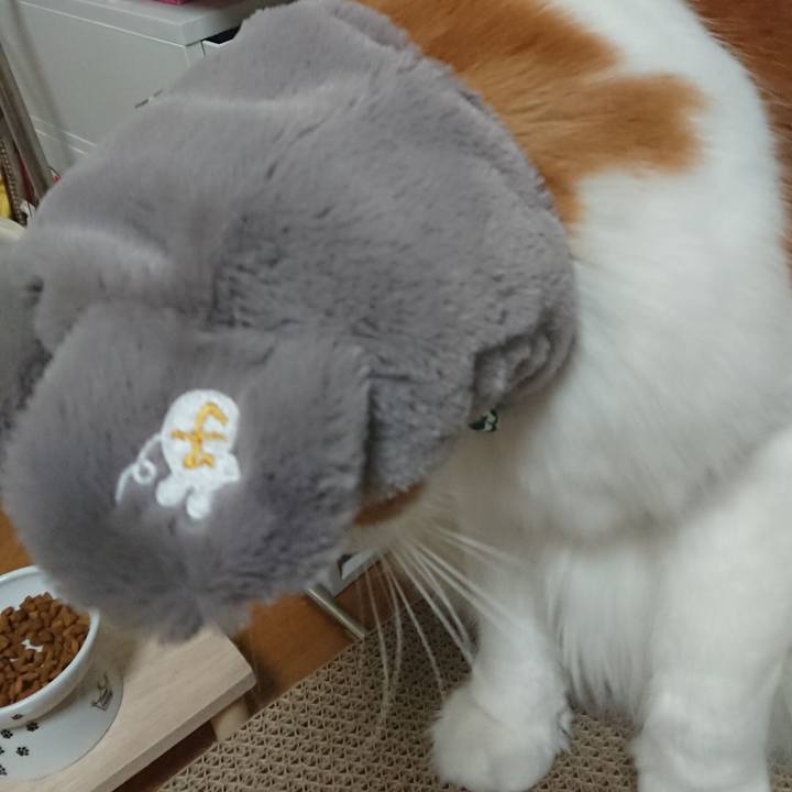 Da94a499 2c18 4b37 b90d ab849d0b694c 1575424100568