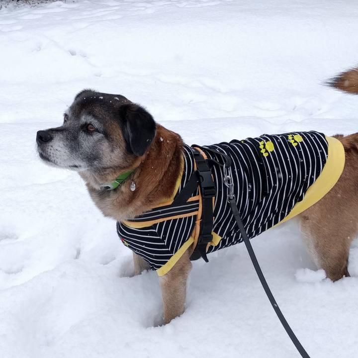 Da94b8ad e6f1 437c 8af6 bc6fdac152b3 1517530269270