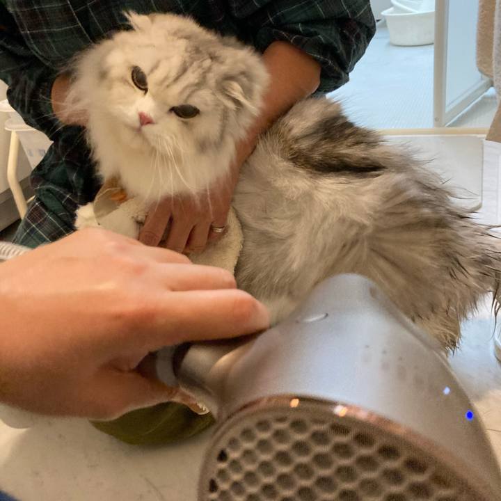 Da94bbb5 f1ef 439d a32f cfd59e6a8ca9 1637668531513