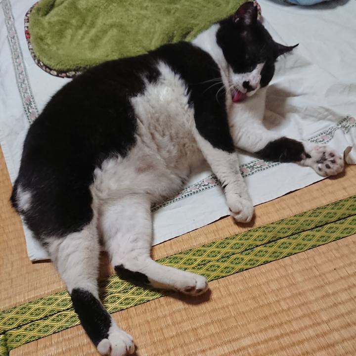 Da94bcc6 9f88 443e 801b 563cc957756a 1536743302505