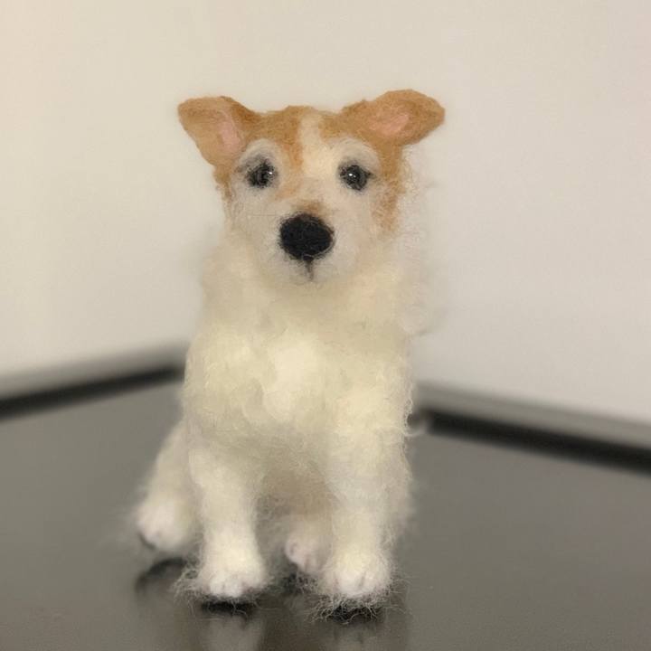 Da94d9b3 7efa 42e3 948e b4a46d4a559e 1551949510197