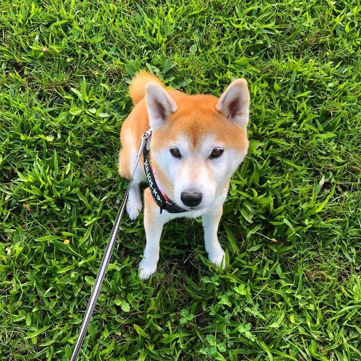 Da94da87 610b 41d7 88c1 610d84561c5d 1600221257420