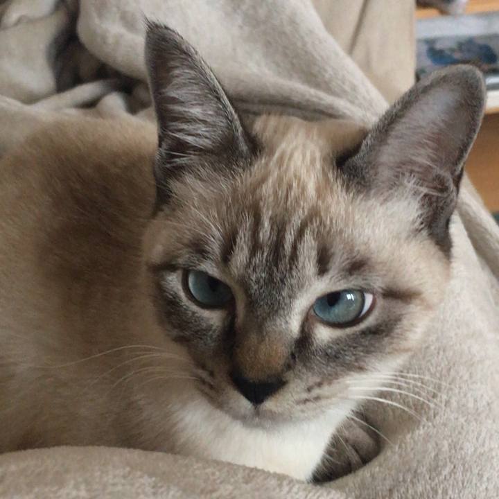 Da94e2d1 7688 43c5 82ca 715590f598a8 1545211674822