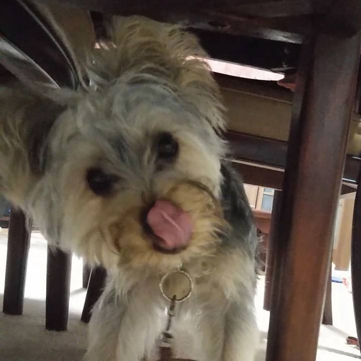 Da94e3a3 beee 4ef0 aa12 1bb2f1508e35 1540462825078