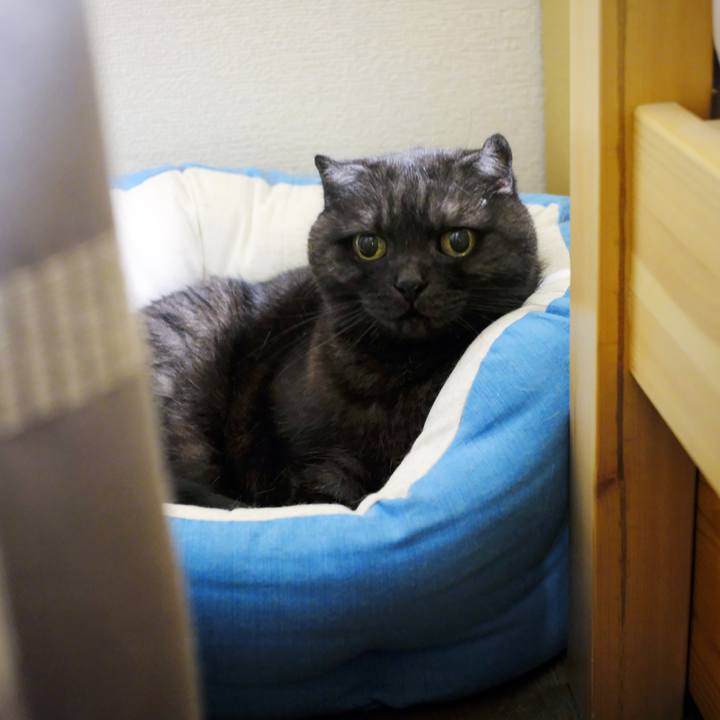 Da950251 3728 4716 9ec0 cb370a12c43c 1622907752064