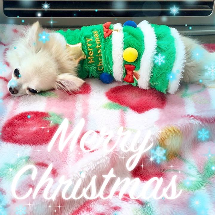 Da95170e e92f 4767 b18e 2ccd9431d56f 1545640371888