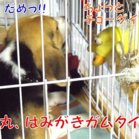 Da95620d b5f8 4388 8a37 924680bc42d7 1680740042328