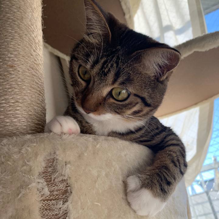 Da956625 4b7a 4fcb 83fb b00c7f8c7f28 1555382383608