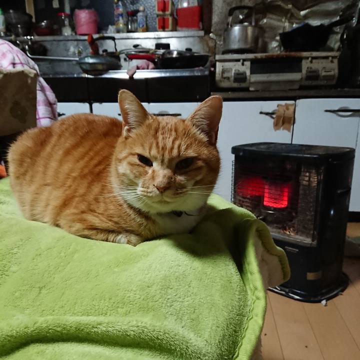 Da956681 d32b 434f 9c71 b18f4c17b4f0 1608235457746