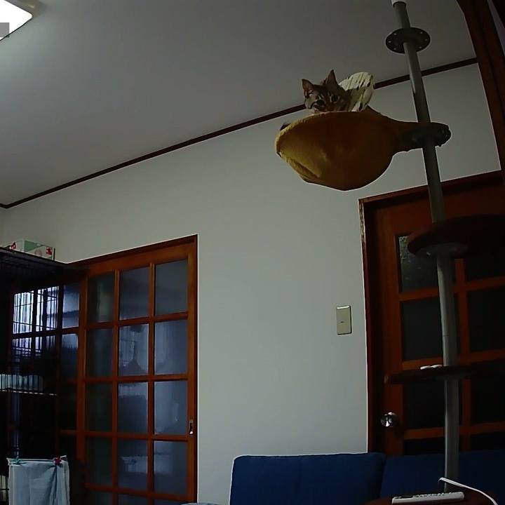 Da95730f 6bfe 40ce b4c3 db6d19ae7df3 1562057453474