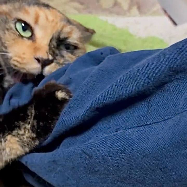 Da9576e8 80de 4dd9 b395 a42c1b37611f 1760128840562