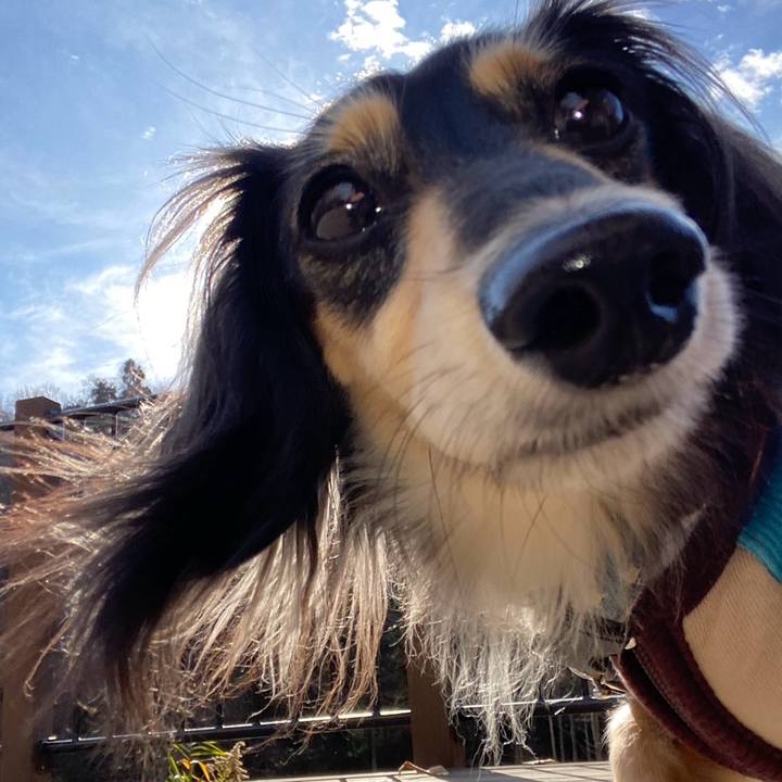 Da958c8c 5104 4494 bc76 2375139d6fd9 1765421530085