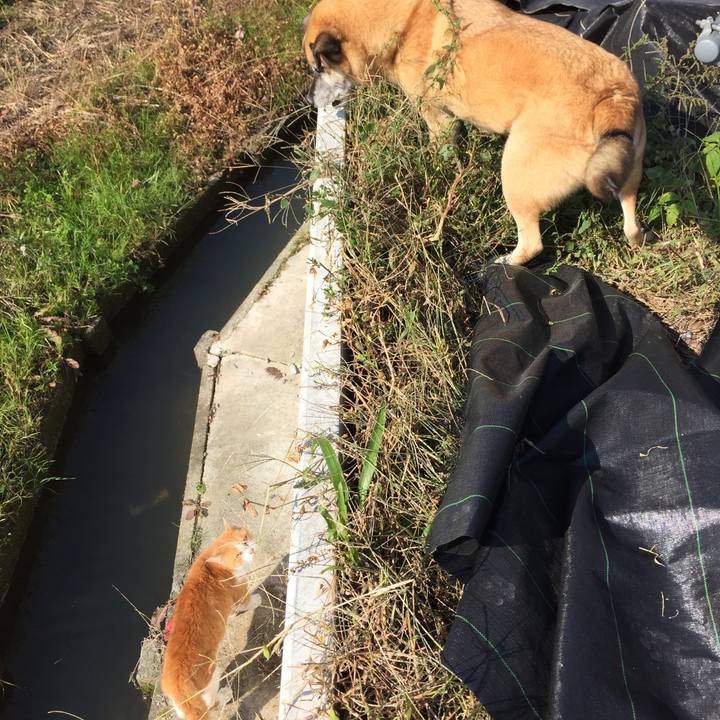 Da95d51f f344 4802 a29f 8a6c00f322a1 1509699335550