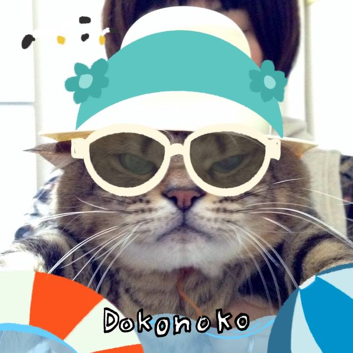 Da961503 aac4 414e 8834 b367f8ad8533 1723199999090