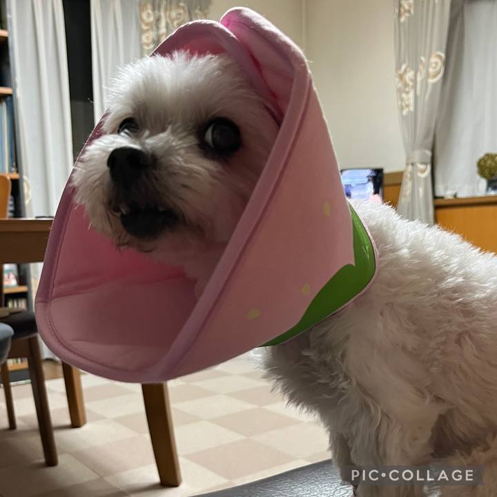 Da961860 111e 4828 89bc 143b22bd118b 1726053204989