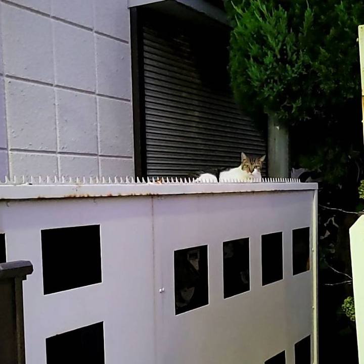 Da961b57 2c14 4691 bfd5 d748f9ef1a34 1693801578955